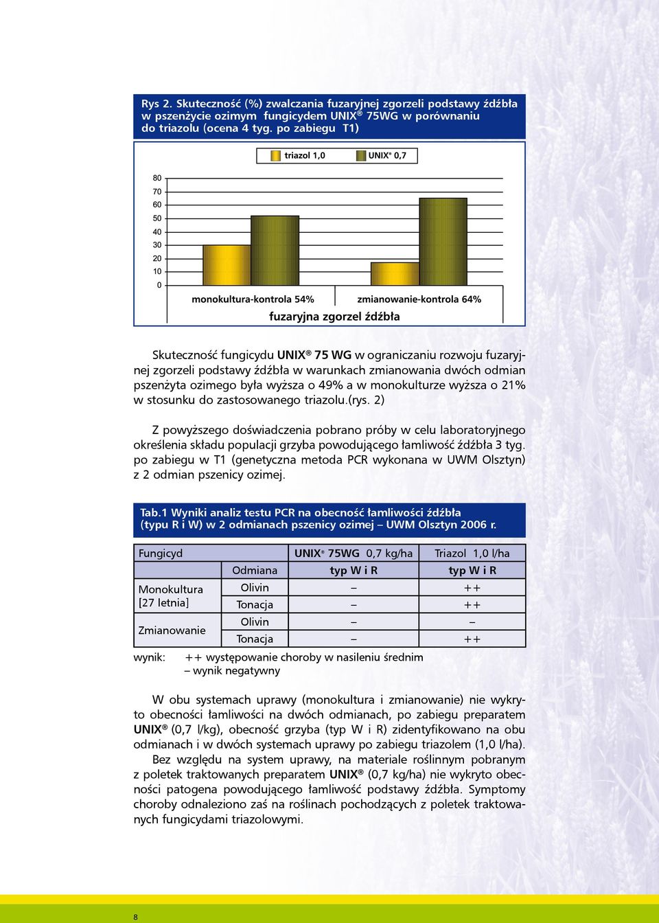 wyższa o 21% w stosunku do zastosowanego triazolu.(rys. 2) Z powyższego doświadczenia pobrano próby w celu laboratoryjnego określenia składu populacji grzyba powodującego łamliwość źdźbła 3 tyg.