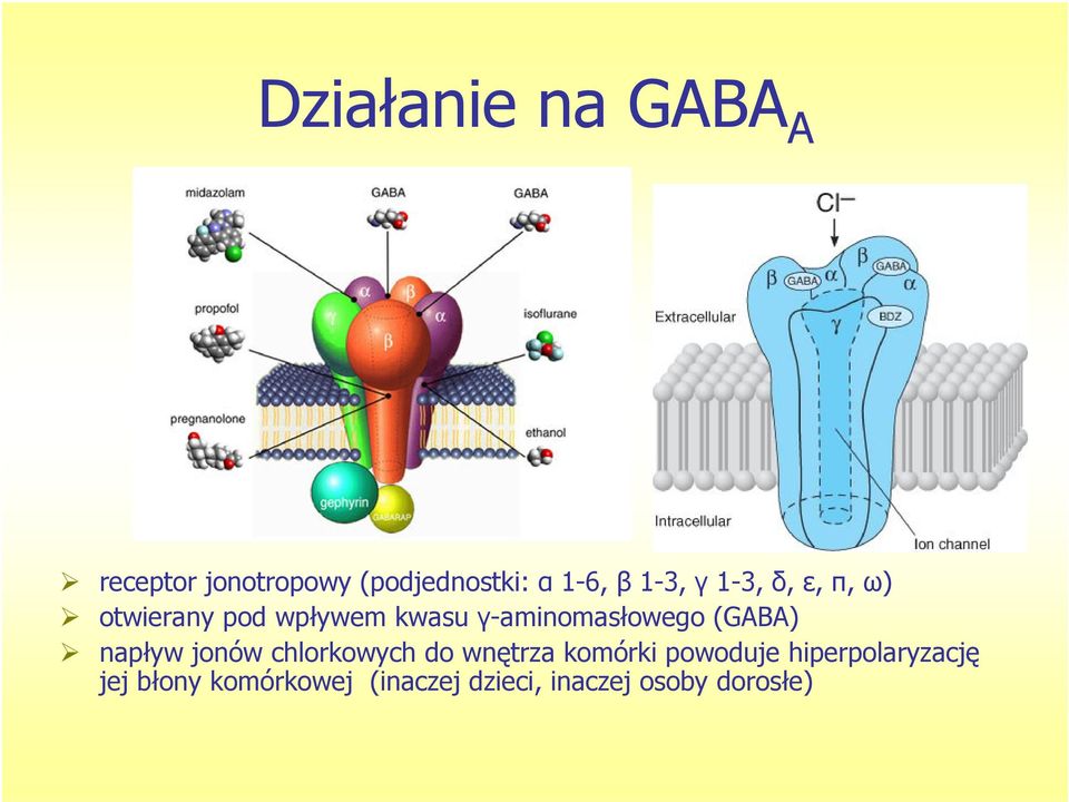 γ-aminomasłowego (GABA) napływ jonów chlorkowych do wnętrza komórki