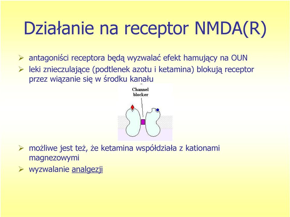 ketamina) blokują receptor przez wiązanie się w środku kanału