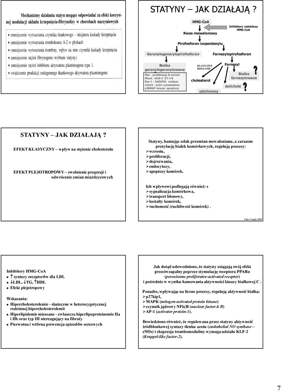 ET-1-S Rac-1 : NAD(P)H oxidaza Cdc42 : actin cytoskeleton p38map kinaza: apoptoza KLASYCZNE DZIAŁANIE cholesterol ubichinony Farnezyl Białka farnezylowane dolichole  EFEKT KLASYCZNY wpływ na stężenie