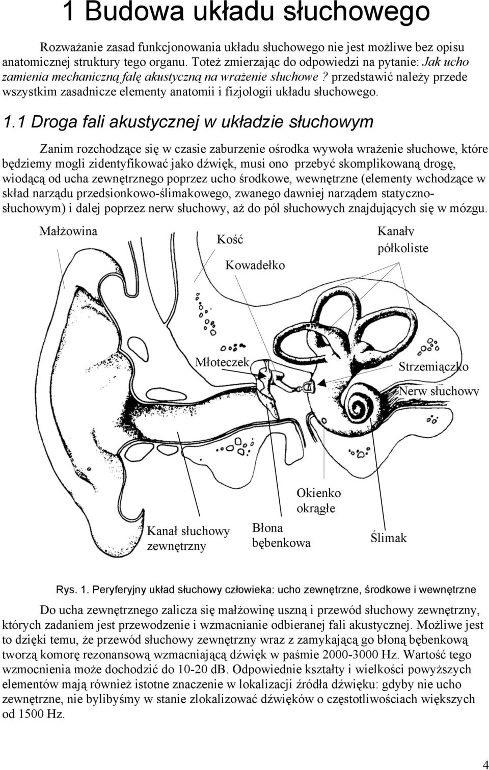 przedstawić należy przede wszystkim zasadnicze elementy anatomii i fizjologii układu słuchowego. 1.