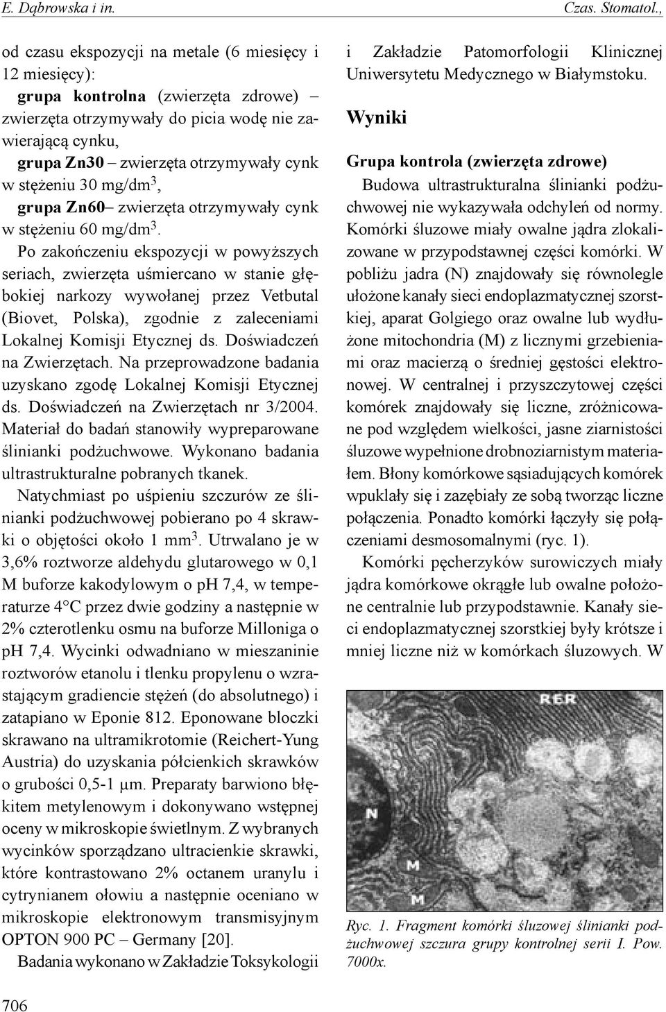 stężeniu 30 mg/dm 3, grupa Zn60 zwierzęta otrzymywały cynk w stężeniu 60 mg/dm 3.
