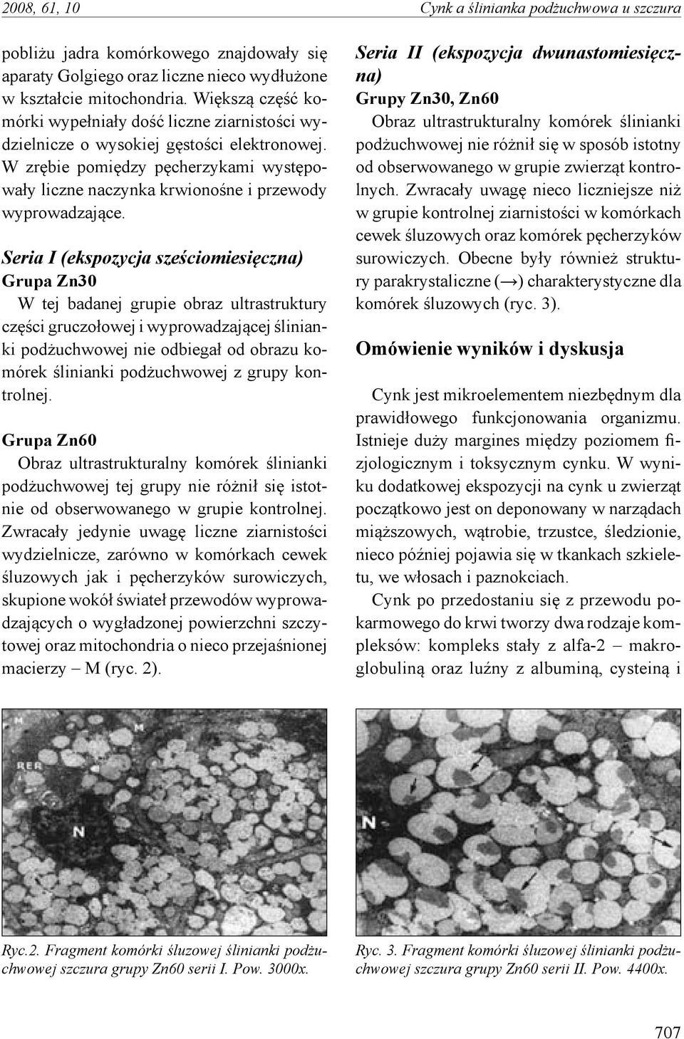 W zrębie pomiędzy pęcherzykami występowały liczne naczynka krwionośne i przewody wyprowadzające.