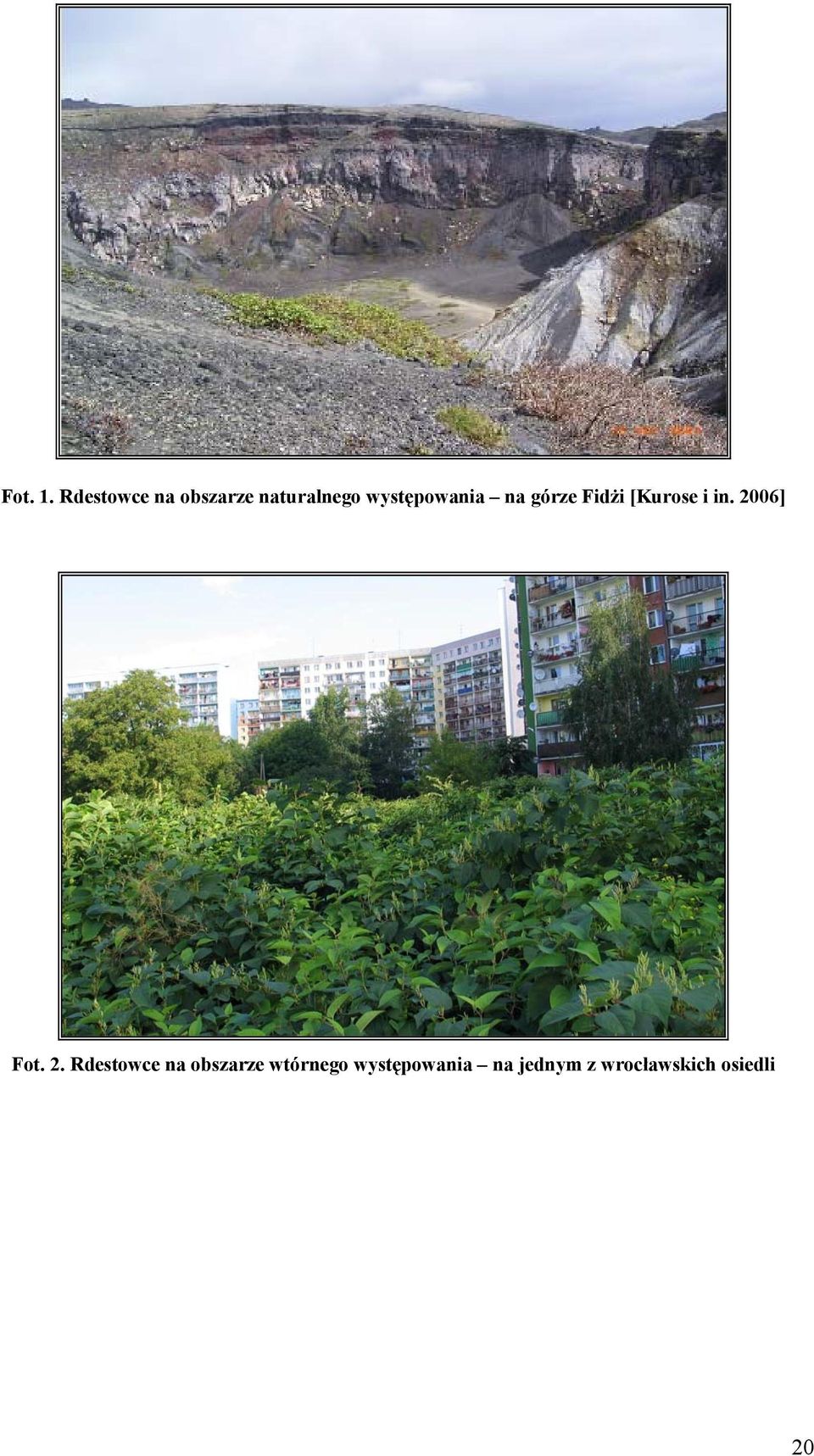 występowania na górze Fidżi [Kurose i in.