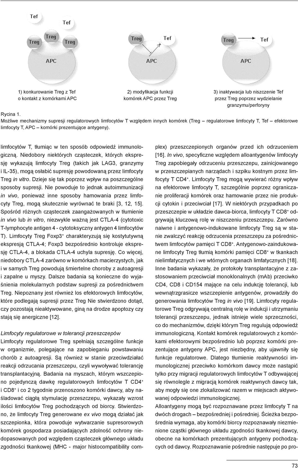 limfocytów T, tłumiąc w ten sposób odpowiedź immunologiczną.