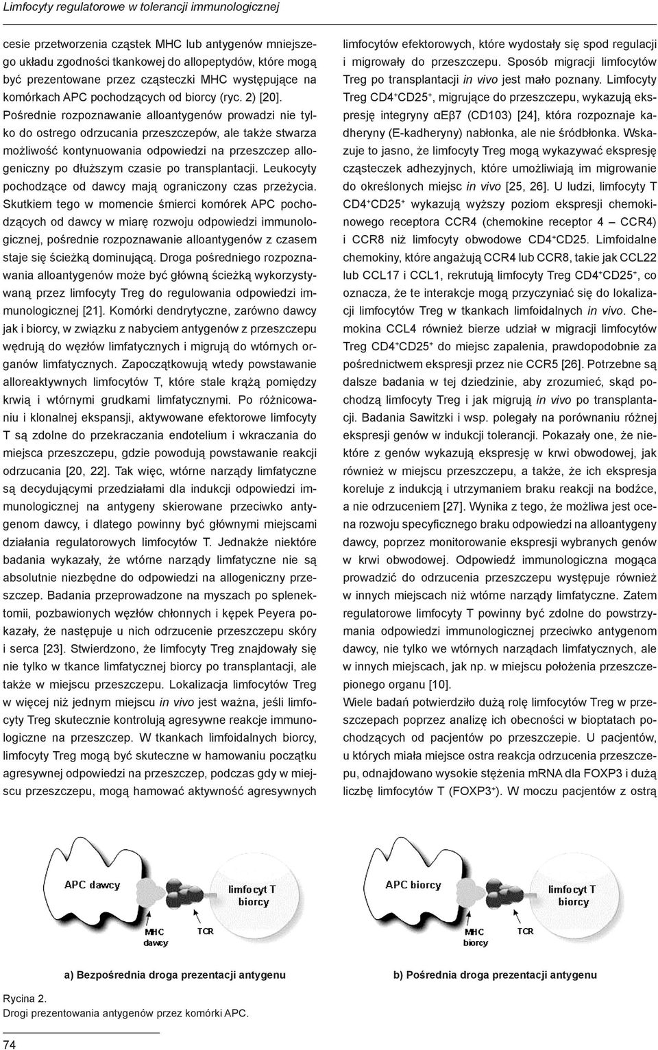 Pośrednie rozpoznawanie alloantygenów prowadzi nie tylko do ostrego odrzucania przeszczepów, ale także stwarza możliwość kontynuowania odpowiedzi na przeszczep allogeniczny po dłuższym czasie po
