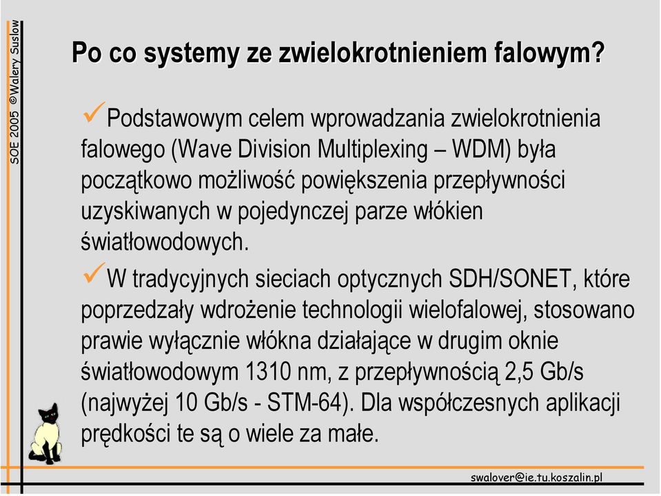 przepływności uzyskiwanych w pojedynczej parze włókien światłowodowych.