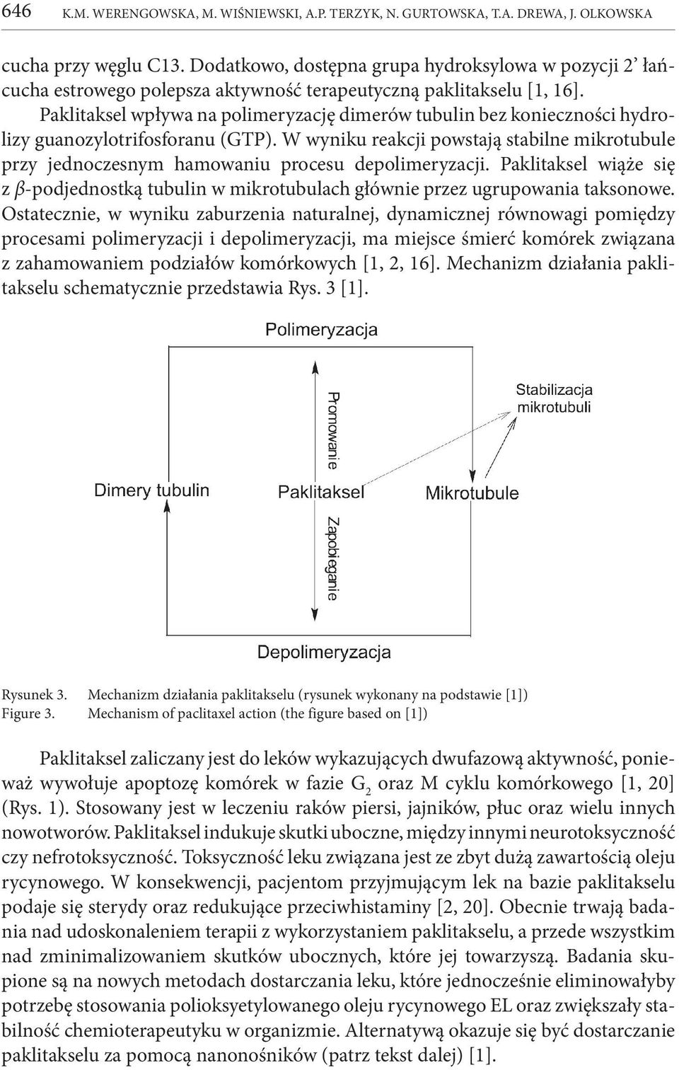 Paklitaksel wpływa na polimeryzację dimerów tubulin bez konieczności hydrolizy guanozylotrifosforanu (GTP).