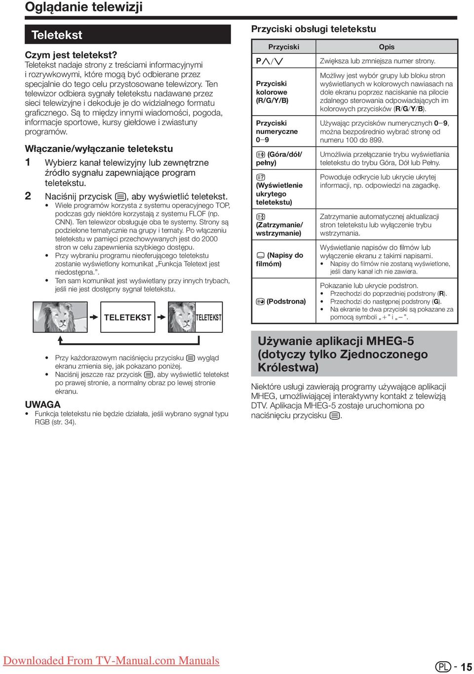 Są to między innymi wiadomości, pogoda, informacje sportowe, kursy giełdowe i zwiastuny programów.