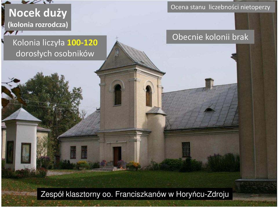 stanu liczebności nietoperzy Obecnie kolonii