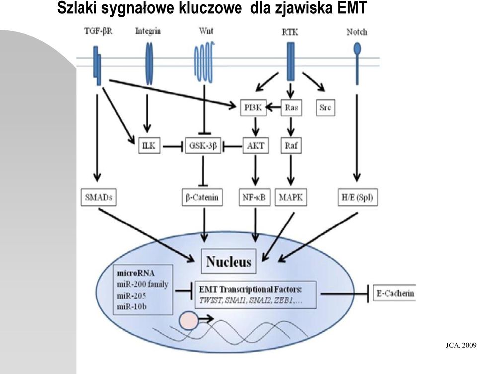 kluczowe dla