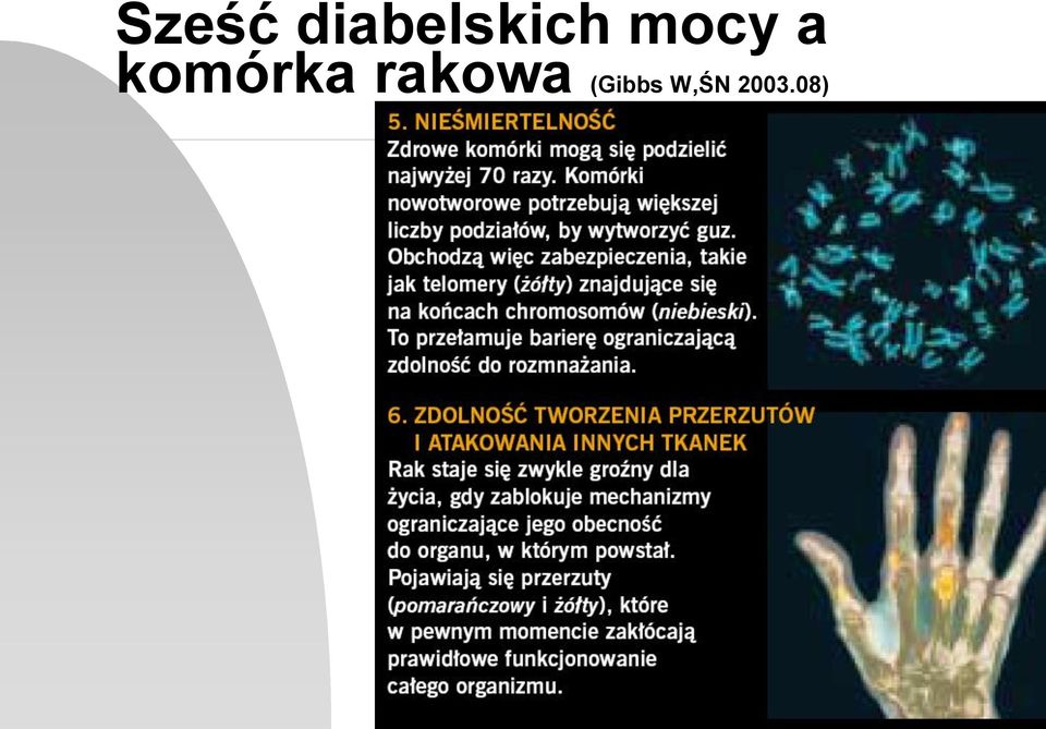 mocy a komórka