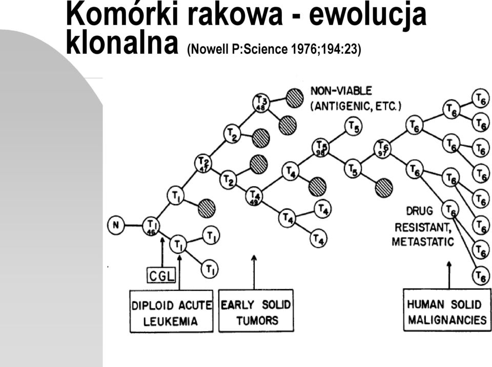 klonalna (Nowell