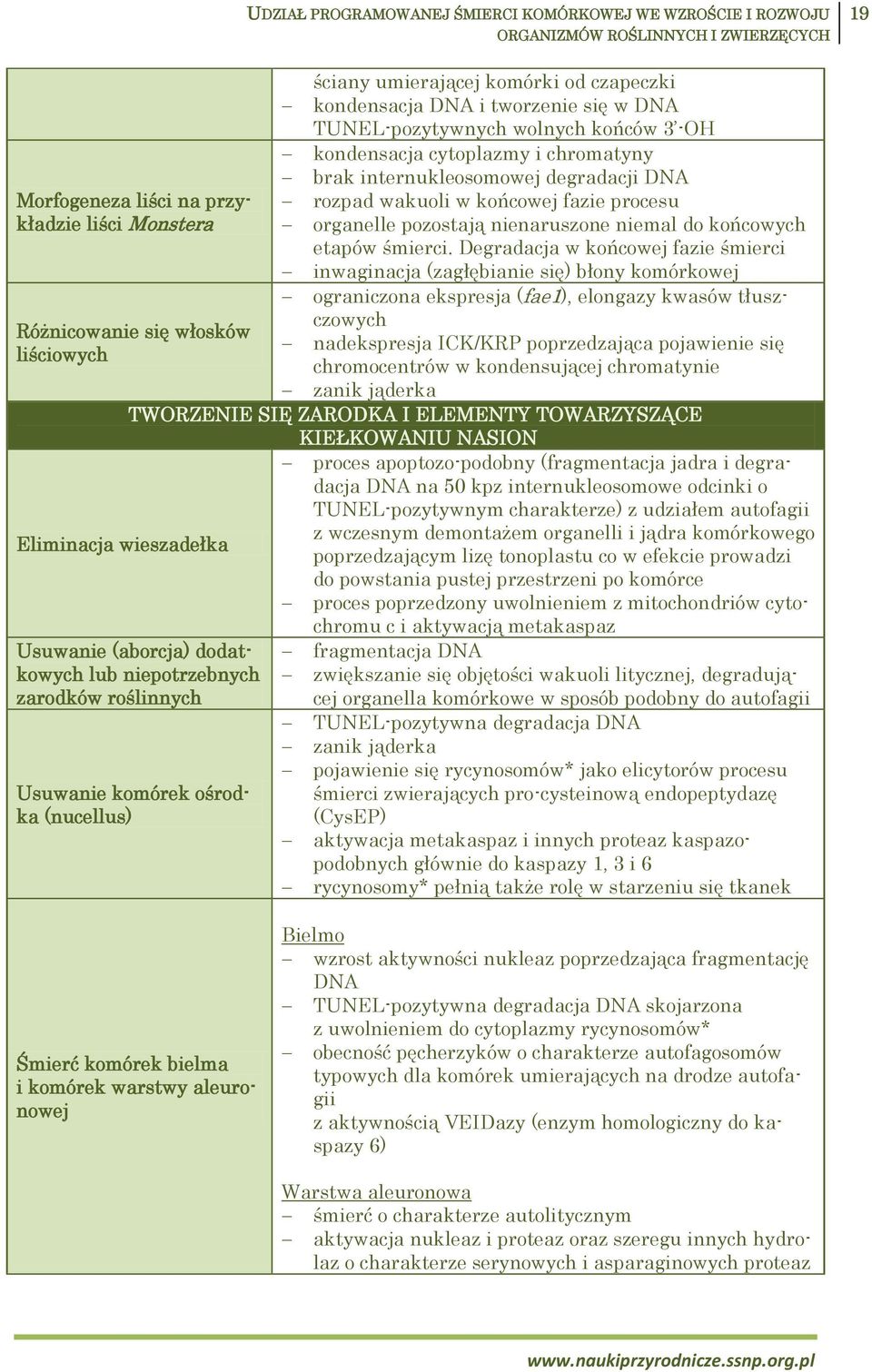 śmierci.