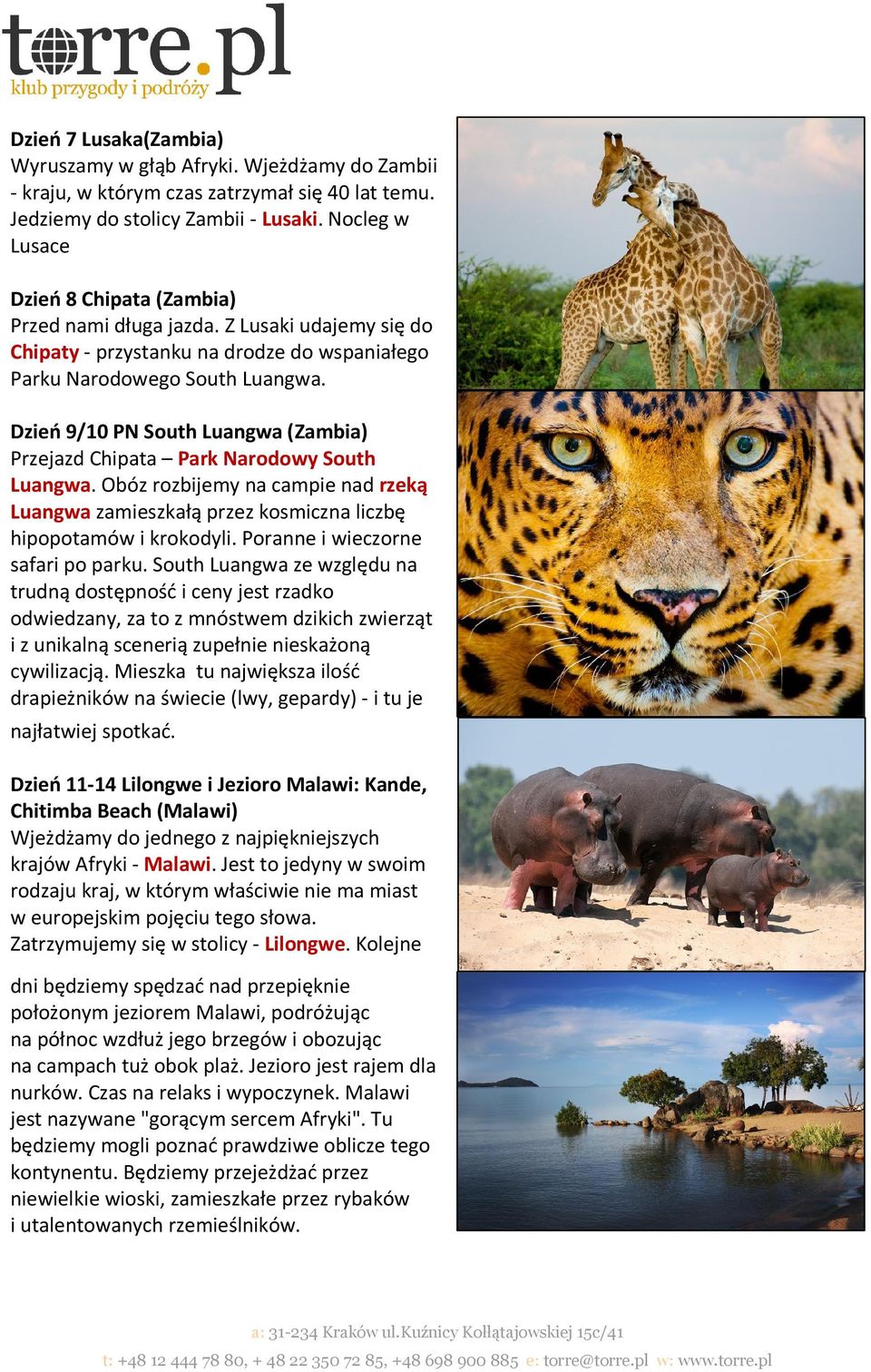 Dzień 9/10 PN South Luangwa (Zambia) Przejazd Chipata Park Narodowy South Luangwa. Obóz rozbijemy na campie nad rzeką Luangwa zamieszkałą przez kosmiczna liczbę hipopotamów i krokodyli.