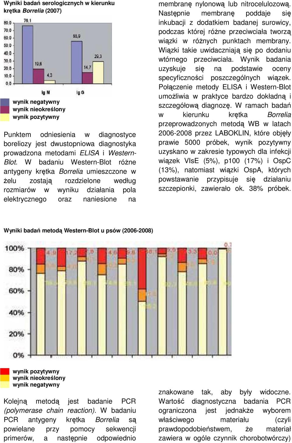 nitrocelulozową. Następnie membranę poddaje się inkubacji z dodatkiem badanej surowicy, podczas której róŝne przeciwciała tworzą wiązki w róŝnych punktach membrany.