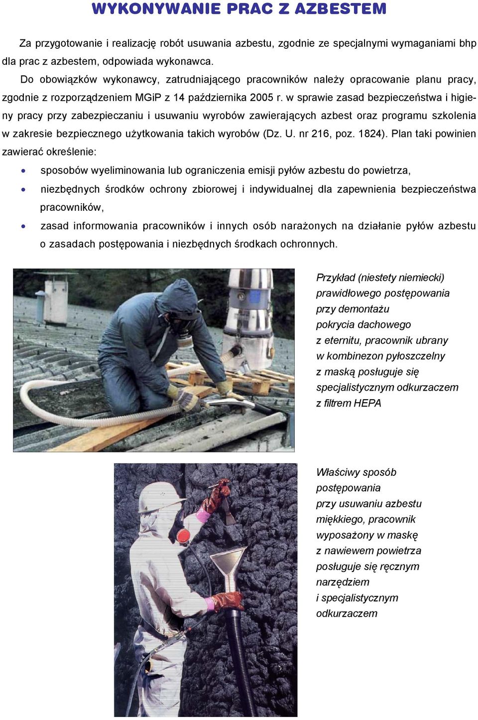 w sprawie zasad bezpieczeństwa i higieny pracy przy zabezpieczaniu i usuwaniu wyrobów zawierających azbest oraz programu szkolenia w zakresie bezpiecznego użytkowania takich wyrobów (Dz. U.