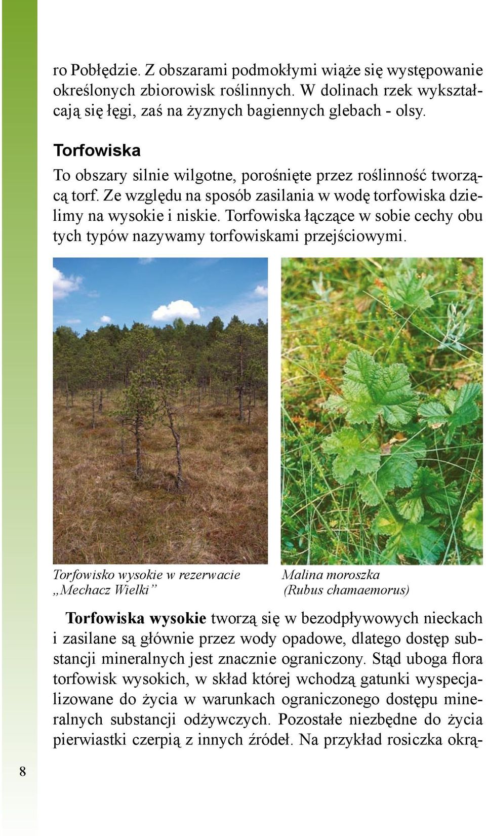 Torfowiska łączące w sobie cechy obu tych typów nazywamy torfowiskami przejściowymi.