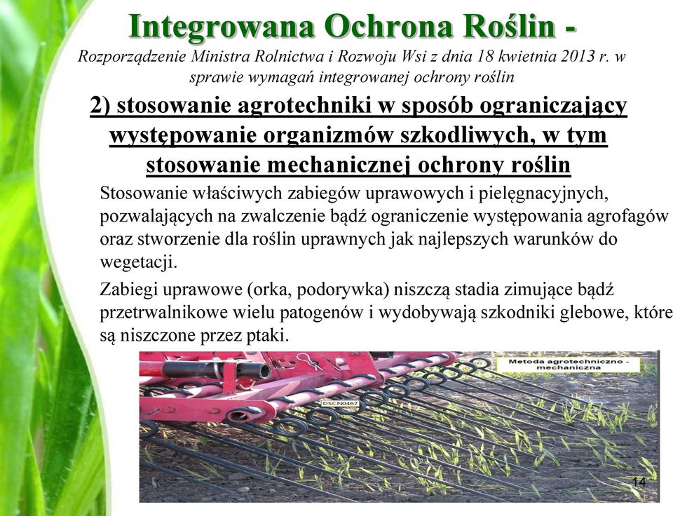 ochrony roślin Stosowanie właściwych zabiegów uprawowych i pielęgnacyjnych, pozwalających na zwalczenie bądź ograniczenie występowania agrofagów oraz stworzenie