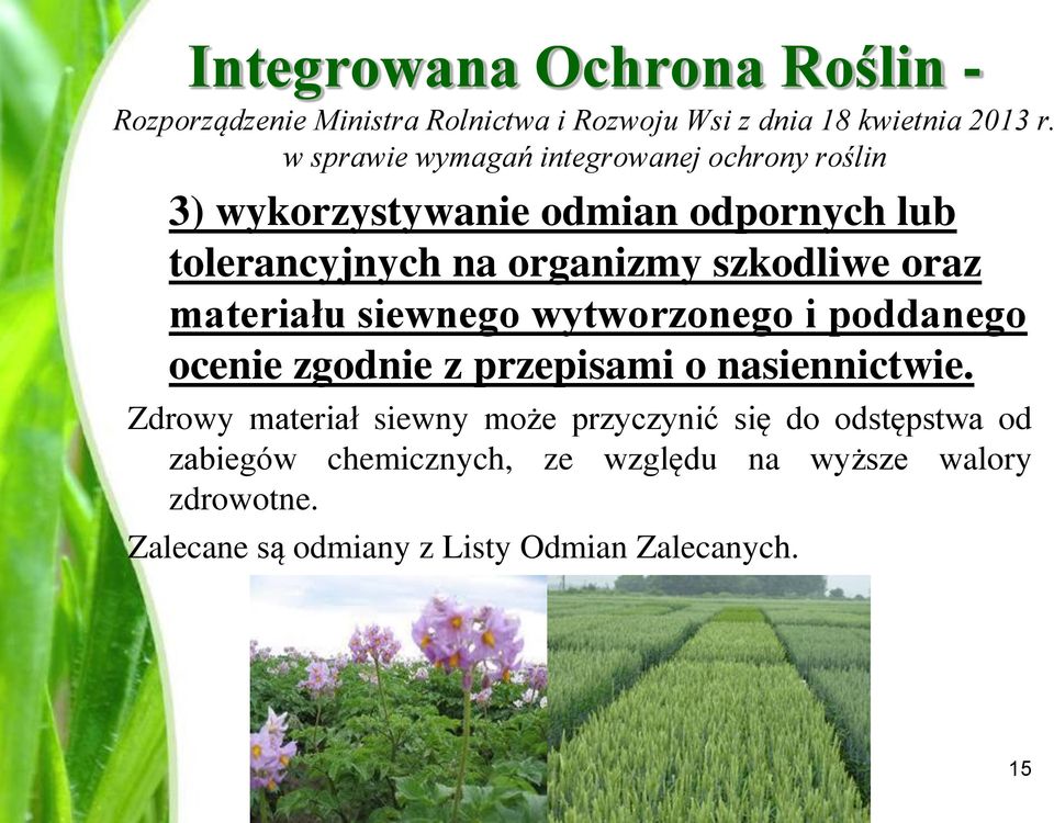 szkodliwe oraz materiału siewnego wytworzonego i poddanego ocenie zgodnie z przepisami o nasiennictwie.