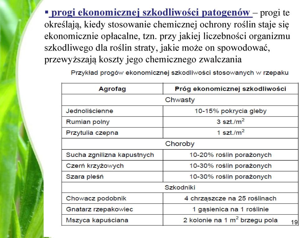 tzn. przy jakiej liczebności organizmu szkodliwego dla roślin straty,