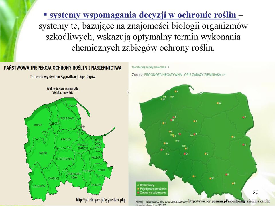 organizmów szkodliwych, wskazują optymalny