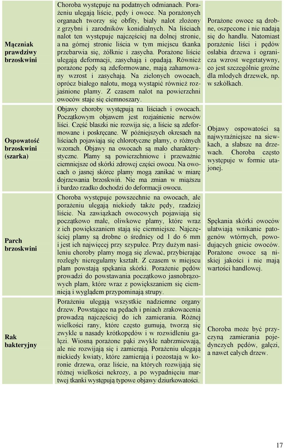 Na liściach nalot ten występuje najczęściej na dolnej stronie, a na górnej stronie liścia w tym miejscu tkanka przebarwia się, żółknie i zasycha.