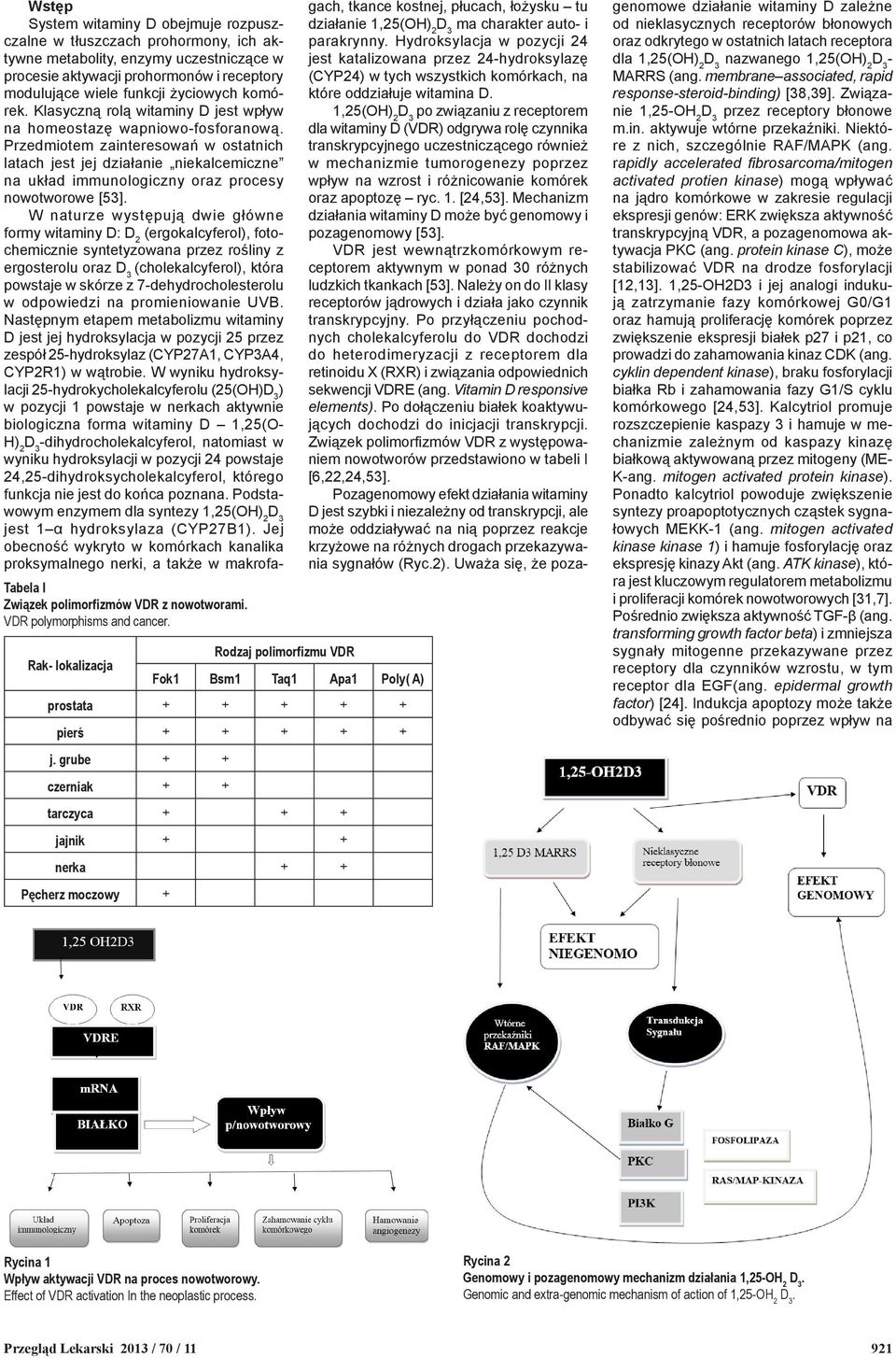 procesie aktywacji prohormonów i receptory modulujące wiele funkcji życiowych komórek. Klasyczną rolą witaminy D jest wpływ na homeostazę wapniowo-fosforanową.