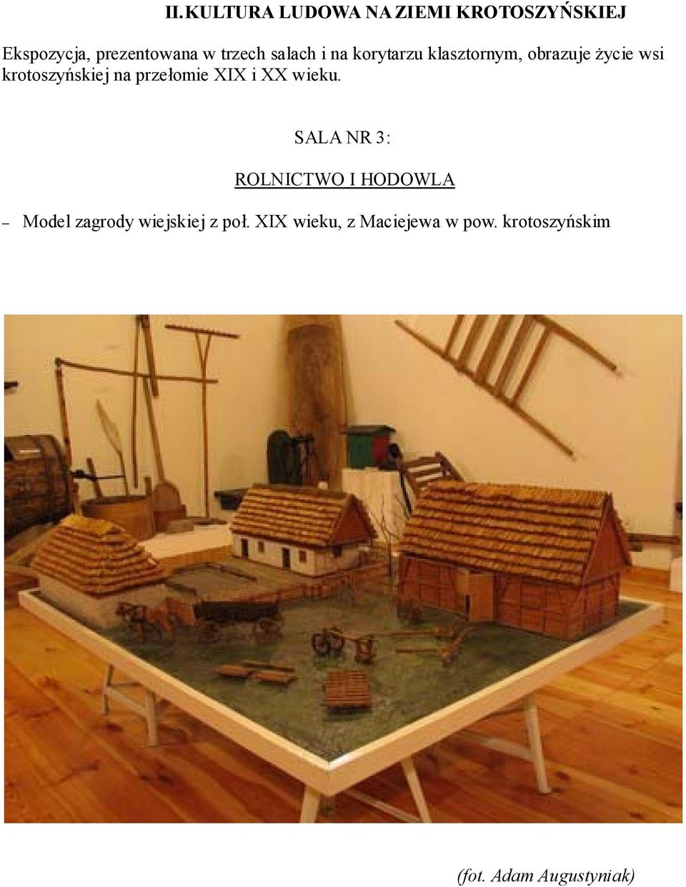 krotoszyńskiej na przełomie XIX i XX wieku.