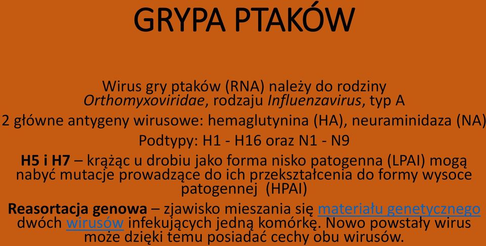patogenna (LPAI) mogą nabyć mutacje prowadzące do ich przekształcenia do formy wysoce patogennej (HPAI) Reasortacja genowa