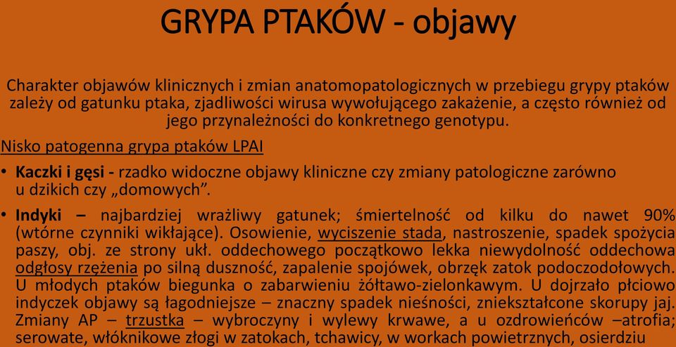 Indyki najbardziej wrażliwy gatunek; śmiertelność od kilku do nawet 90% (wtórne czynniki wikłające). Osowienie, wyciszenie stada, nastroszenie, spadek spożycia paszy, obj. ze strony ukł.