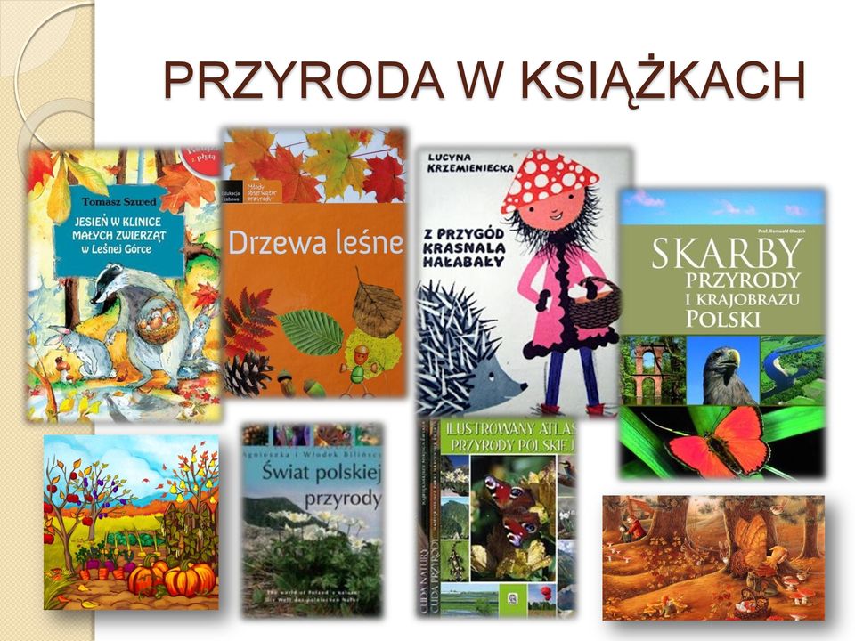 KSIĄŻKACH