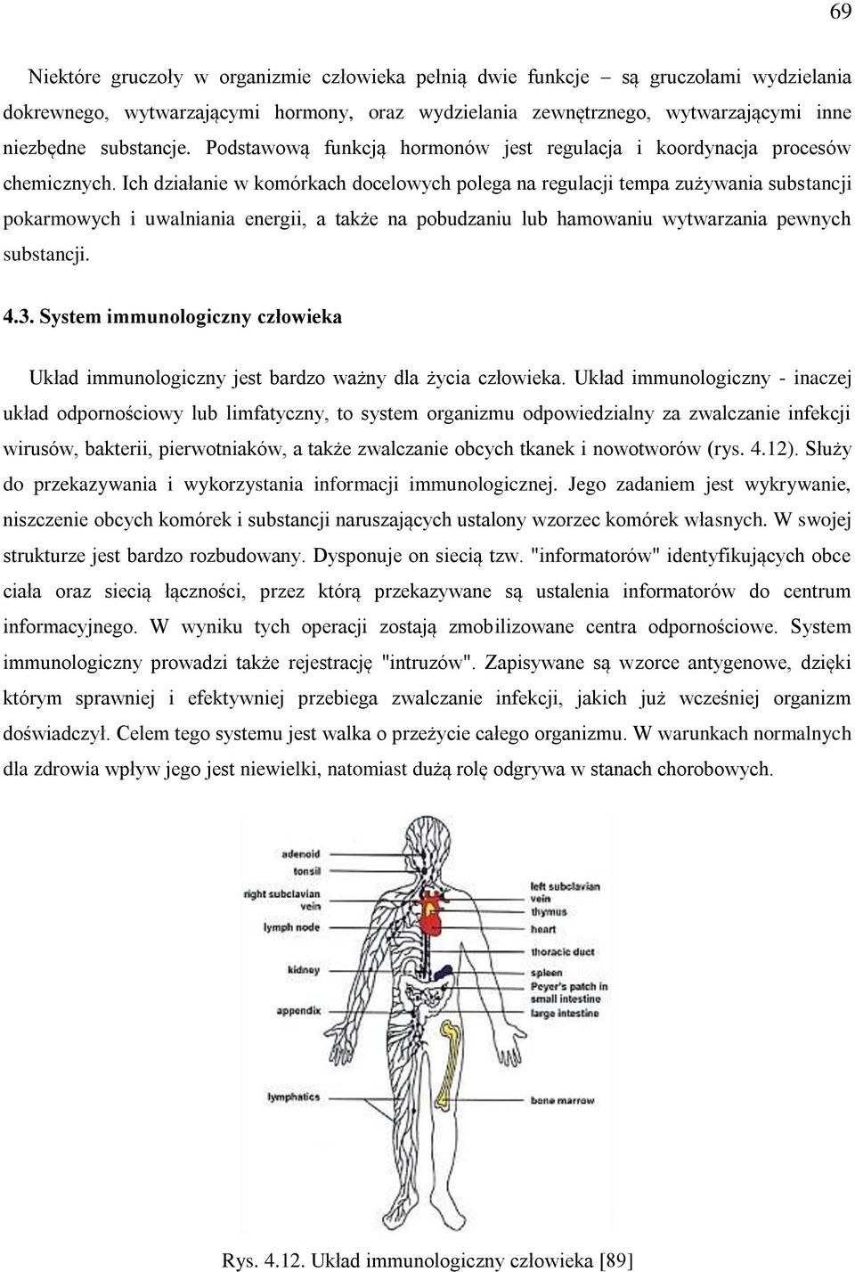 Ich działanie w komórkach docelowych polega na regulacji tempa zużywania substancji pokarmowych i uwalniania energii, a także na pobudzaniu lub hamowaniu wytwarzania pewnych substancji. 4.3.