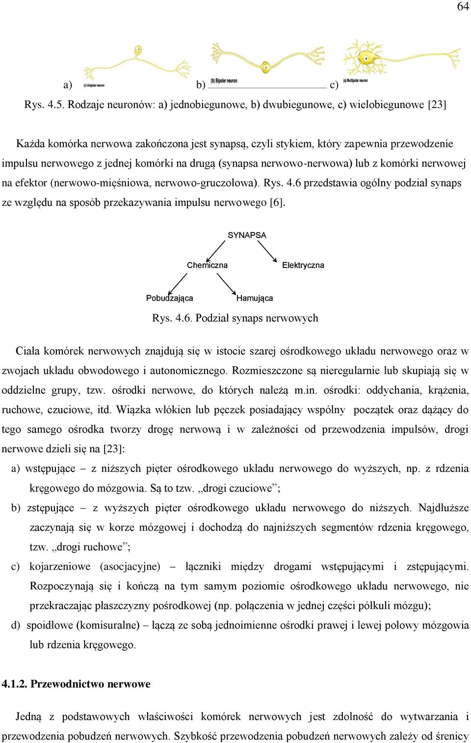 komórki na drugą (synapsa nerwowo-nerwowa) lub z komórki nerwowej na efektor (nerwowo-mięśniowa, nerwowo-gruczołowa). Rys. 4.