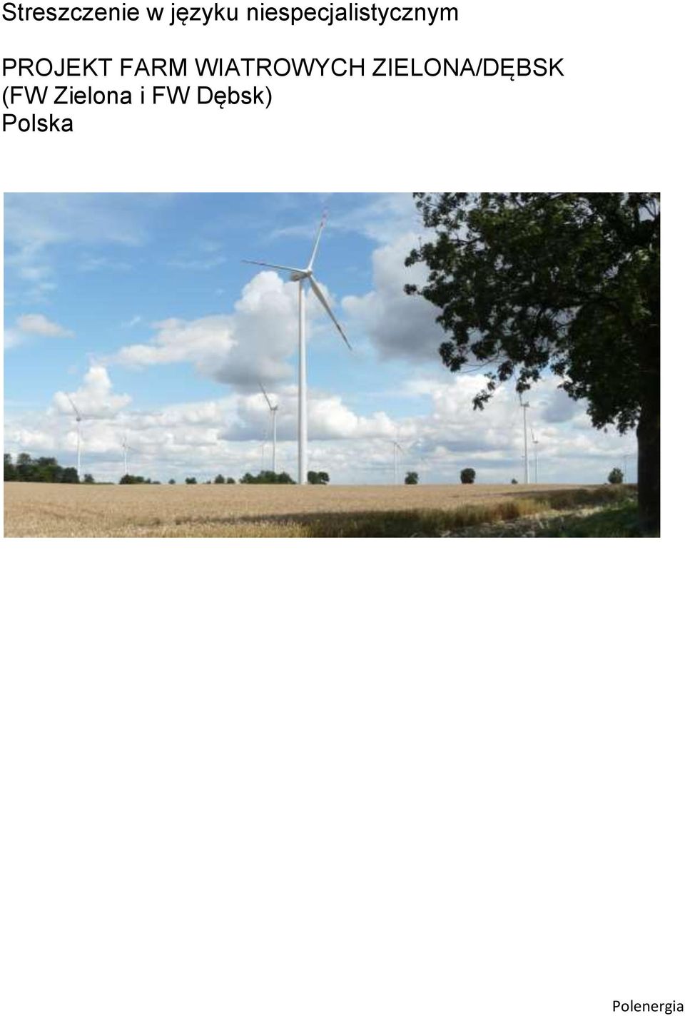 FARM WIATROWYCH