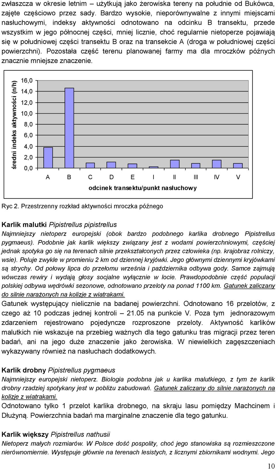 nietoperze pojawiają się w południowej części transektu B oraz na transekcie A (droga w południowej części powierzchni).