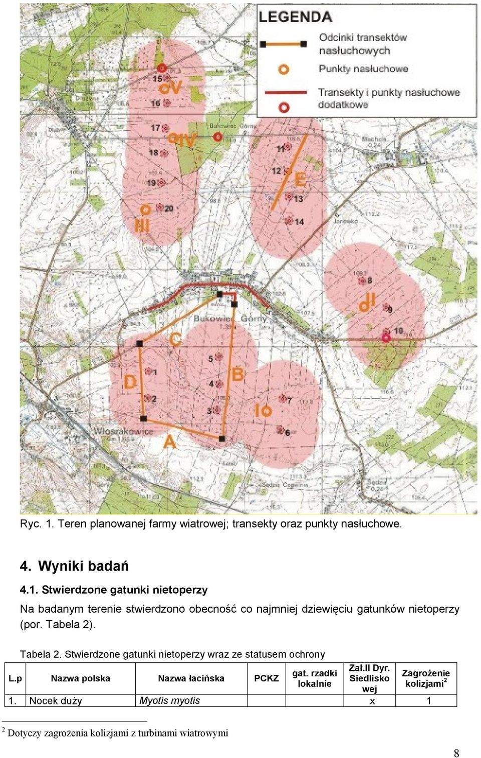 Stwierdzone gatunki nietoperzy Na badanym terenie stwierdzono obecność co najmniej dziewięciu gatunków nietoperzy (por.