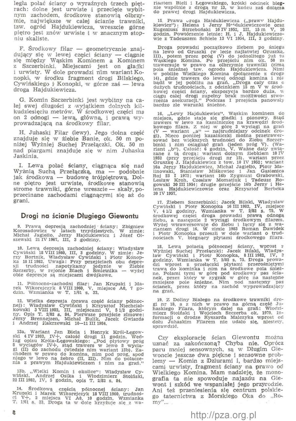 Środkowy filar geometrycznie znajdujący się w lewej części ściany ciągnie się między Wąskim Kominem a Kominem z Szczerbinki. Miejscami jest on gładki i urwisty. W dole prowadzi riim wariant.