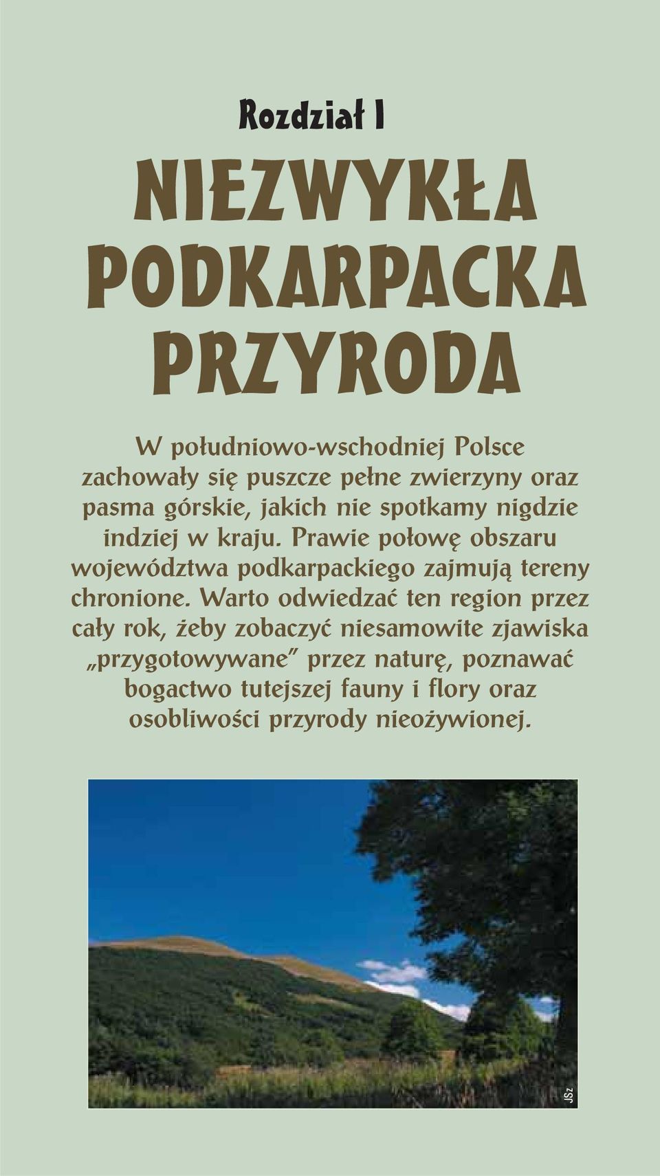 Prawie połowę obszaru województwa podkarpackiego zajmują tereny chronione.