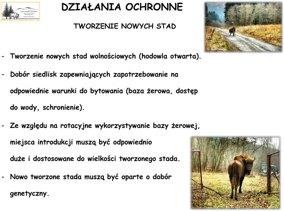 wody, schronienie).