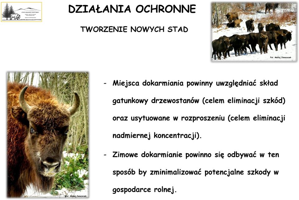 usytuowane w rozproszeniu (celem eliminacji nadmiernej koncentracji).