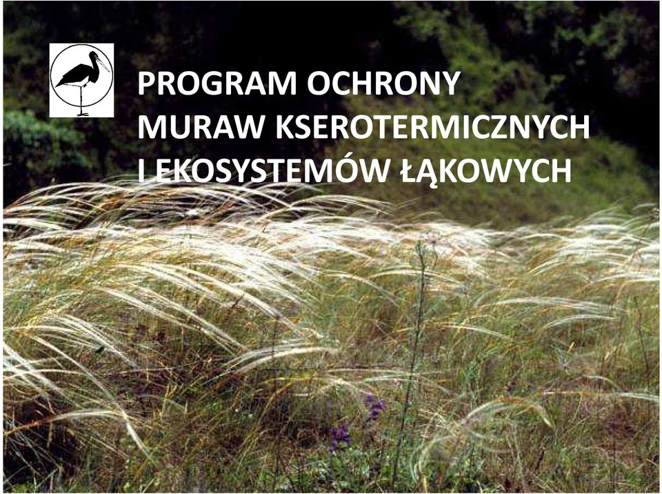 PROGRAM OCHRONY