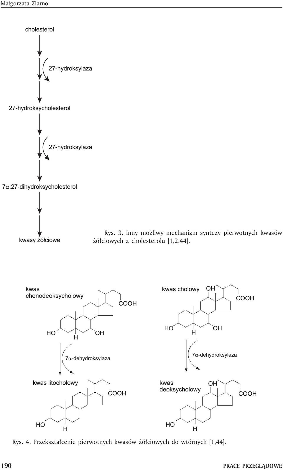 ó³ciowych z cholesterolu [1,2,44]. Rys. 4.