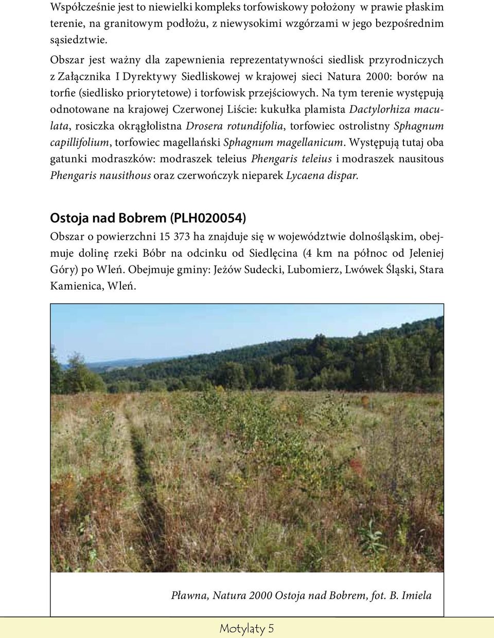 przejściowych.