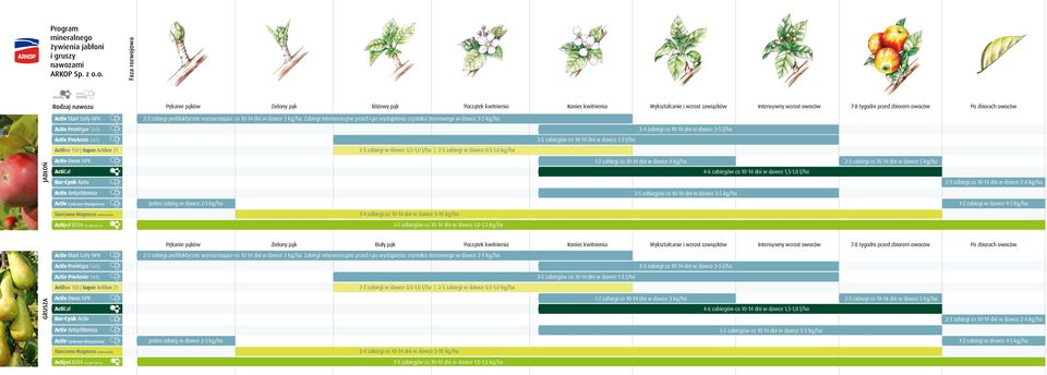 dni w dawce 3 kg/ha 2-3 zabiegi co 10-14 dni w dawce 5 kg/ha 4-6 zabiegów co 10-14 dni w dawce 1,5-1,8 l/ha 2-3 zabiegi co 10-14 dni w dawce 2-4 kg/ha GRUSZA Pękanie pąków Zielony pąk Biały pąk