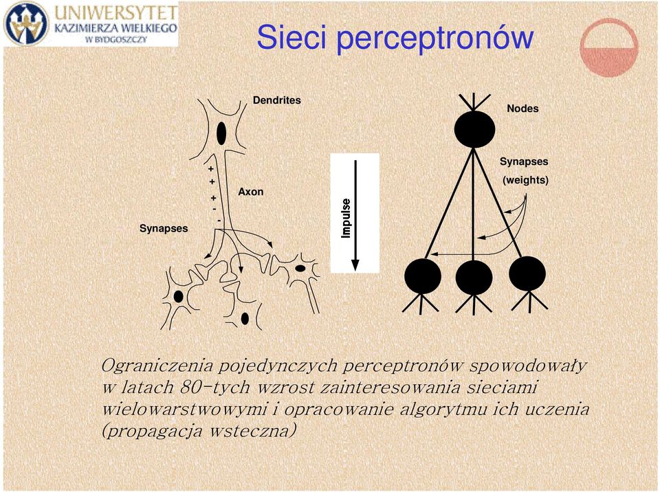 spowodowały w latach 80-tych wzrost zainteresowania sieciami