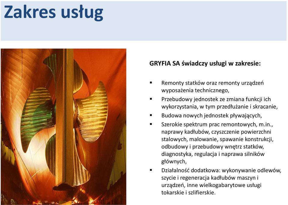, naprawy kadłubów, czyszczenie powierzchni stalowych, malowanie, spawanie konstrukcji, odbudowy i przebudowy wnętrz statków, diagnostyka, regulacja i