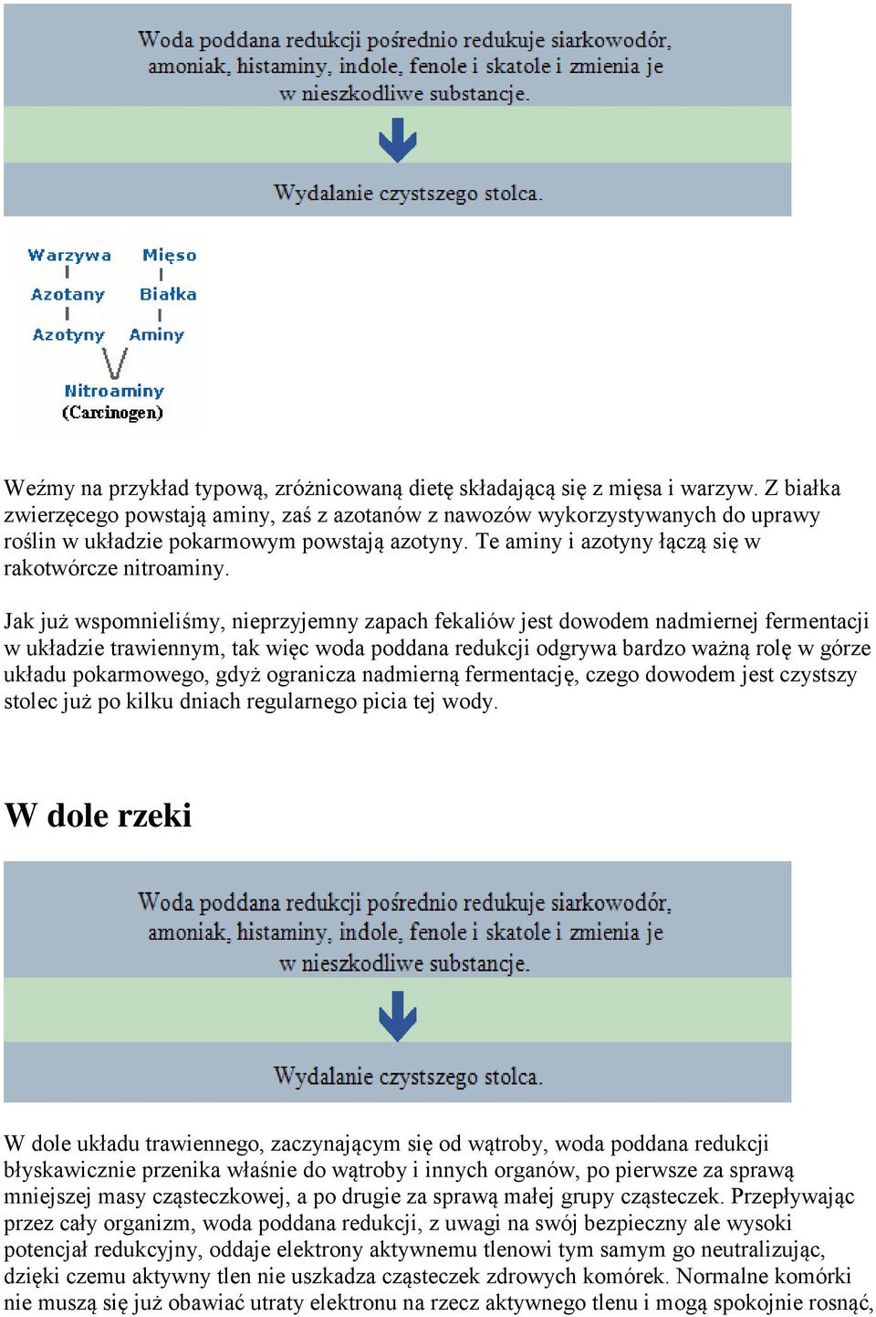 Jak już wspomnieliśmy, nieprzyjemny zapach fekaliów jest dowodem nadmiernej fermentacji w układzie trawiennym, tak więc woda poddana redukcji odgrywa bardzo ważną rolę w górze układu pokarmowego,