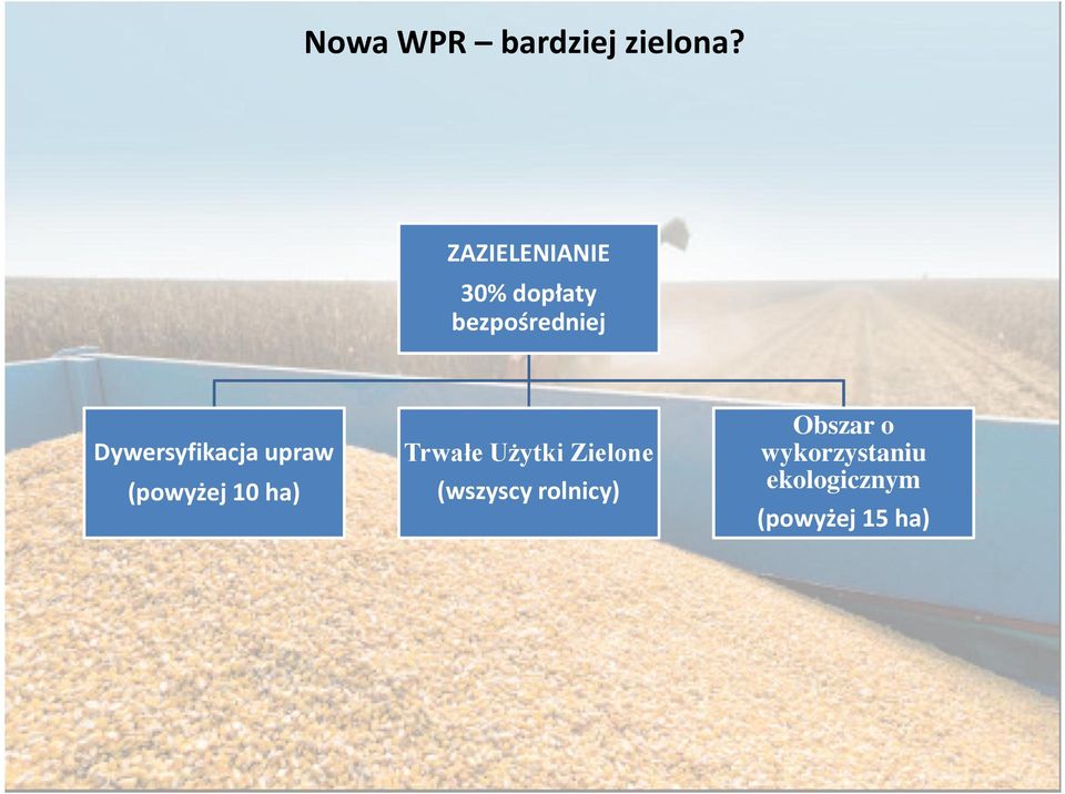 Dywersyfikacja upraw (powyżej 10 ha) Trwałe