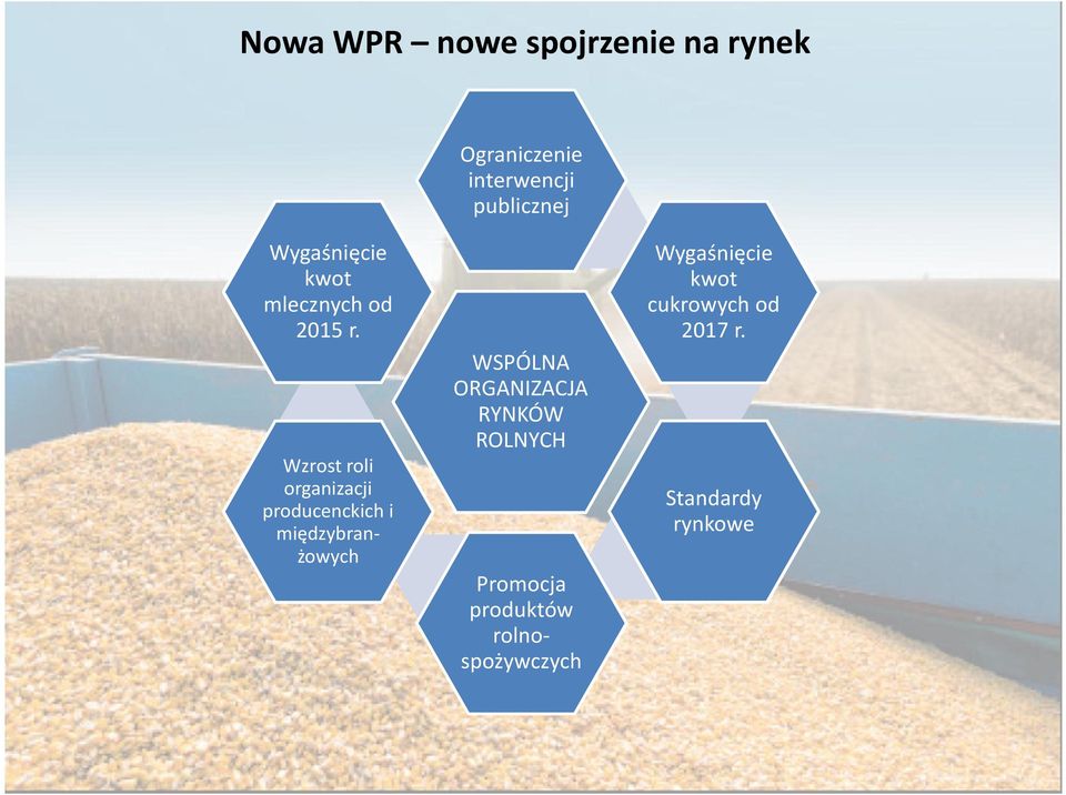 Wzrost roli organizacji producenckich i międzybranżowych WSPÓLNA